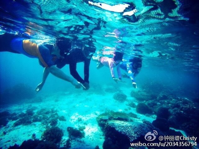去年四川超35万辆新能源汽车免征车辆购置税近65亿元
