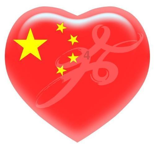 动物狂欢夜