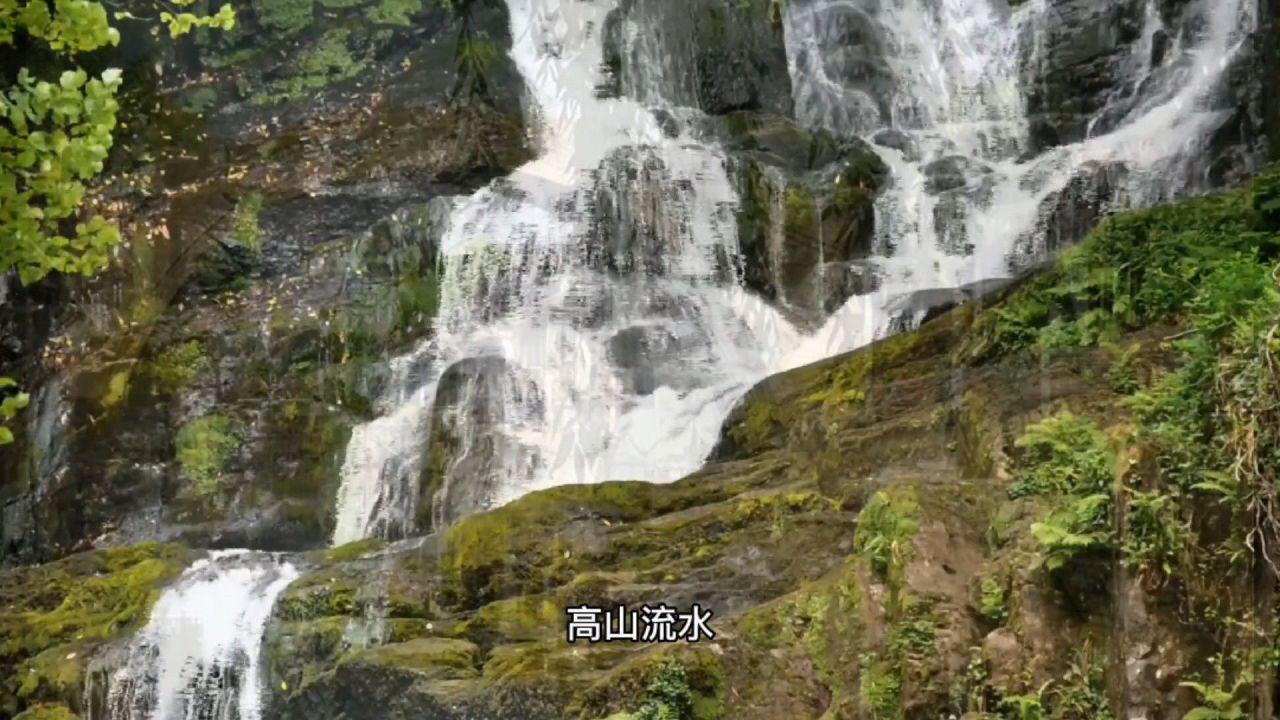 森系丛林