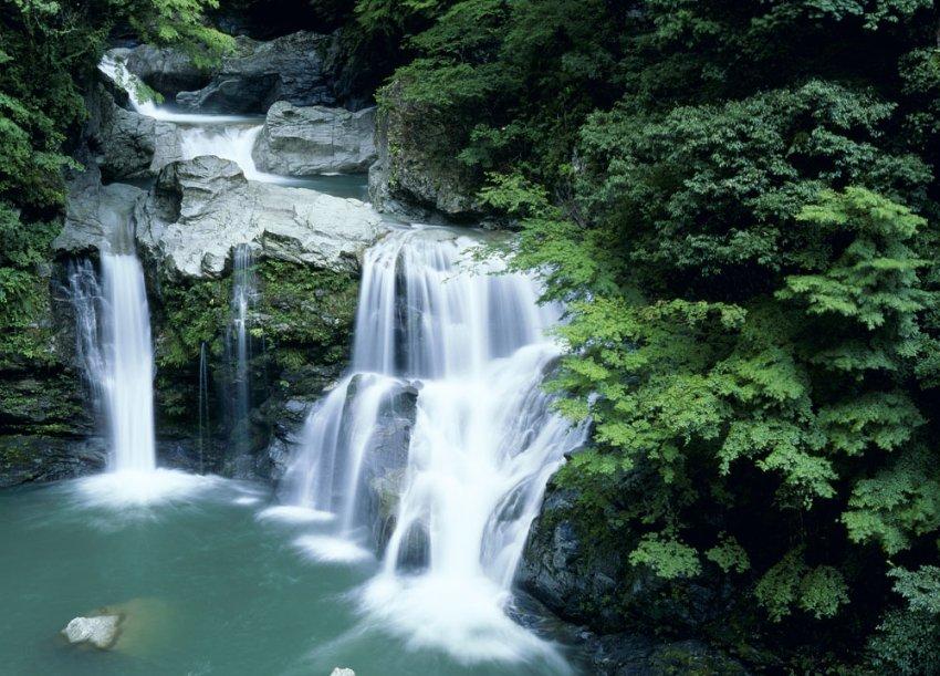榨菜的拼音？游戏画面